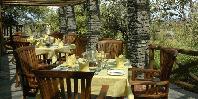 Dining terrace