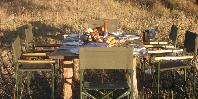 Bush breakfast
