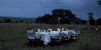 Bush dinner
