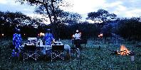 Bush dinner