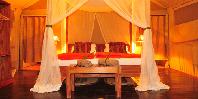 Guest tent