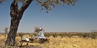 Bush lunch