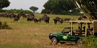 Game drive Game drive