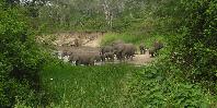 Game viewing Game viewing