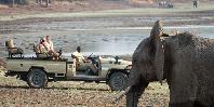Game drive