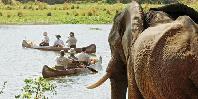 Canoing Canoing