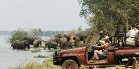 Chongwe game drive