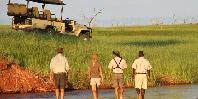 Walking safari