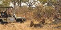 Game drive