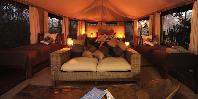 Guest tent