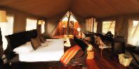 Guest tent