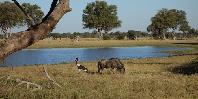 Hwange National Park