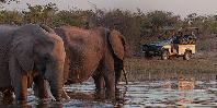 Game drive at Musango