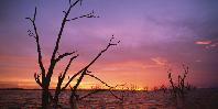 Sunset Sunset