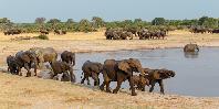 Hwangwe National Park Hwangwe National Park