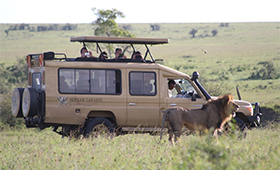 About Somak Luxury Travel