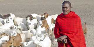 arusha