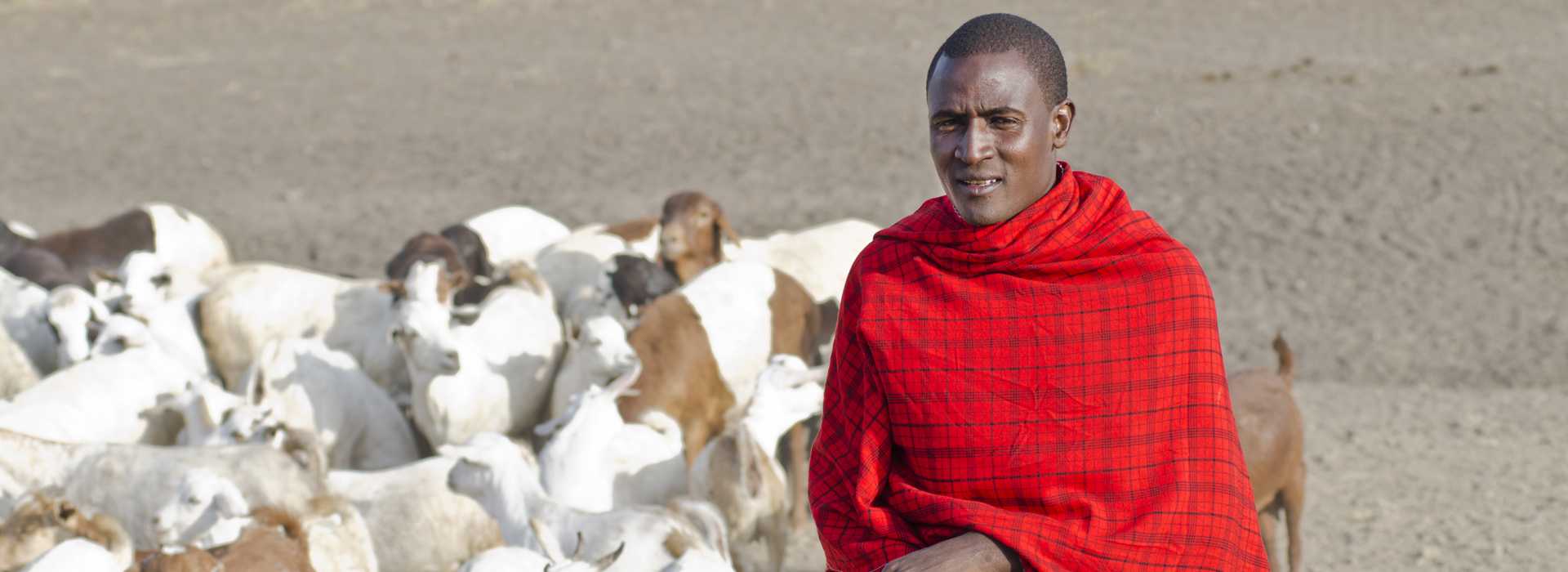 Goat herder in Arusha, Tanzania