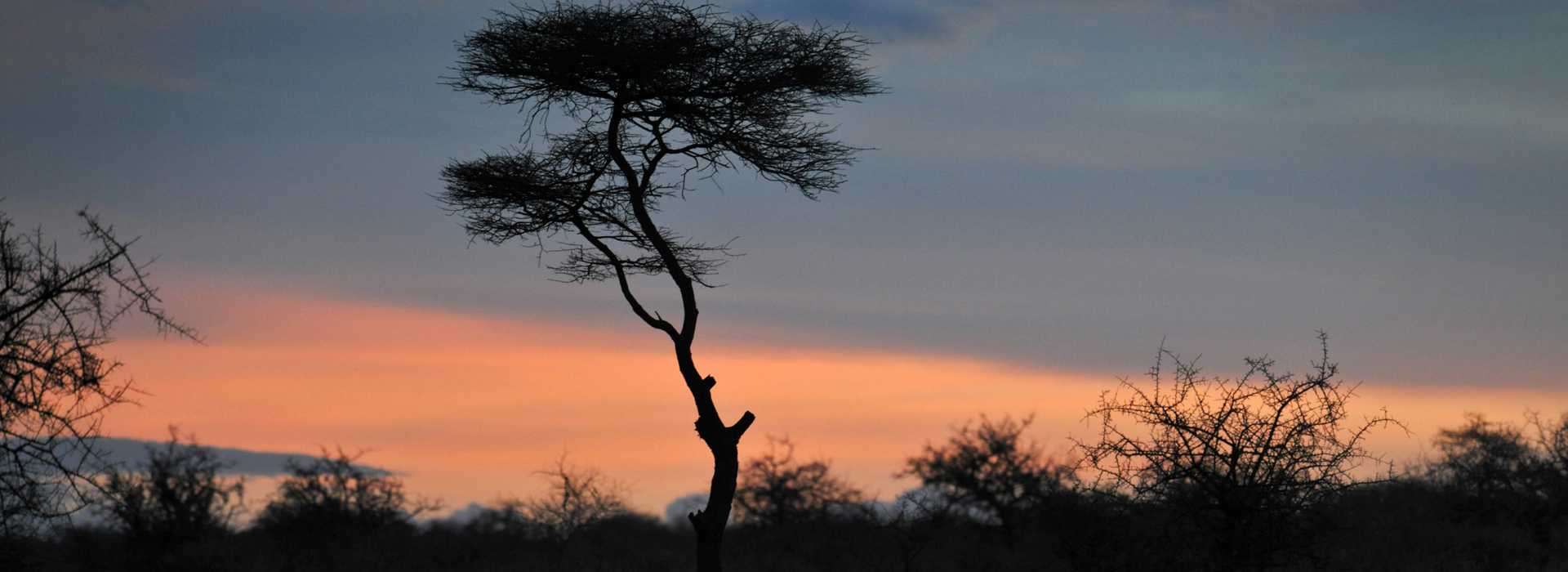Beautiful sunset in Arusha, Tanzania