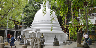 colombo