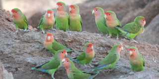 damaraland region