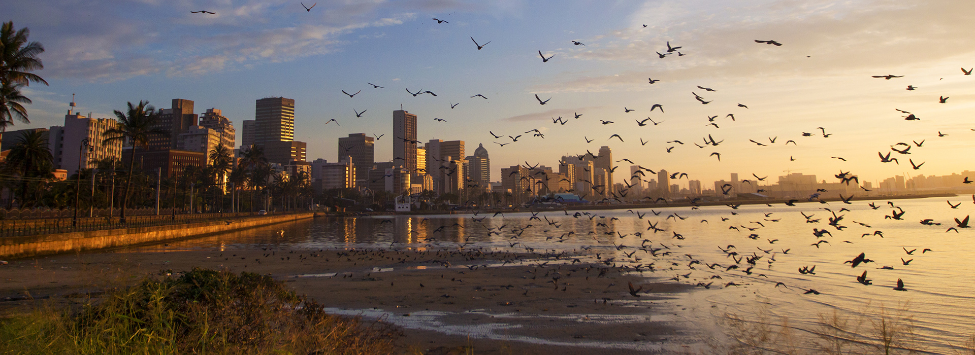 Durban at sunrise