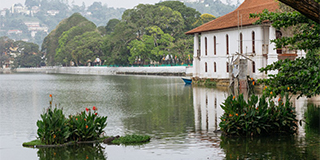 kandy