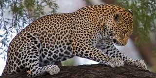 laikipia & north