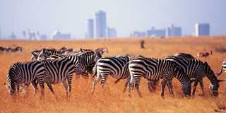 nairobi
