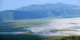 ngorongoro