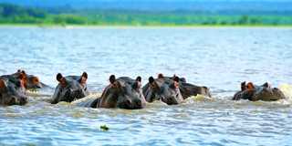 rift valley lakes
