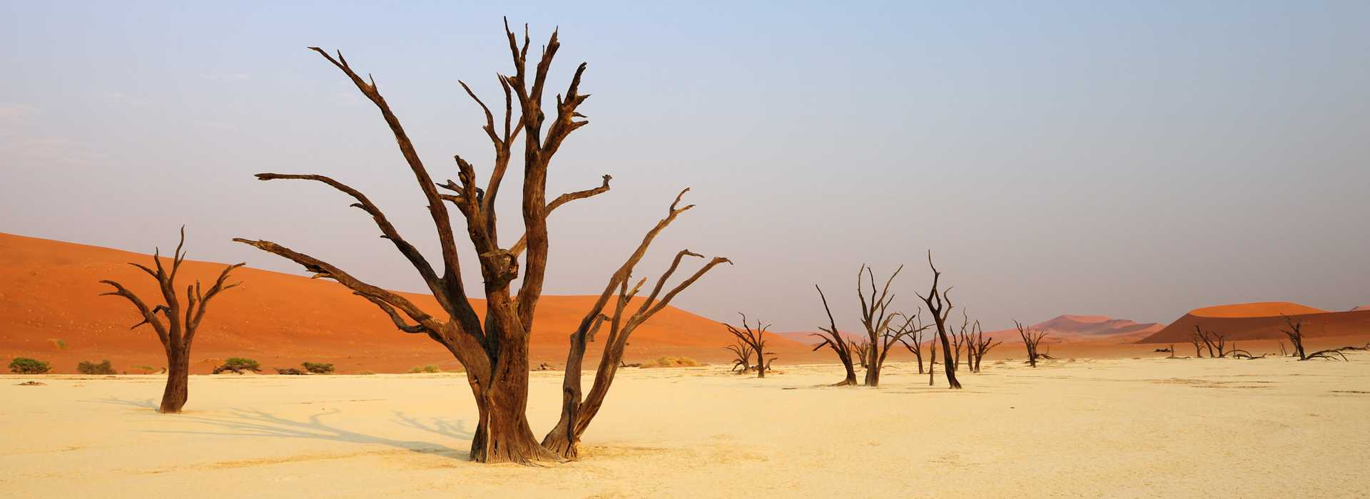 Namibia - Skeleton Coast | Somak Holidays