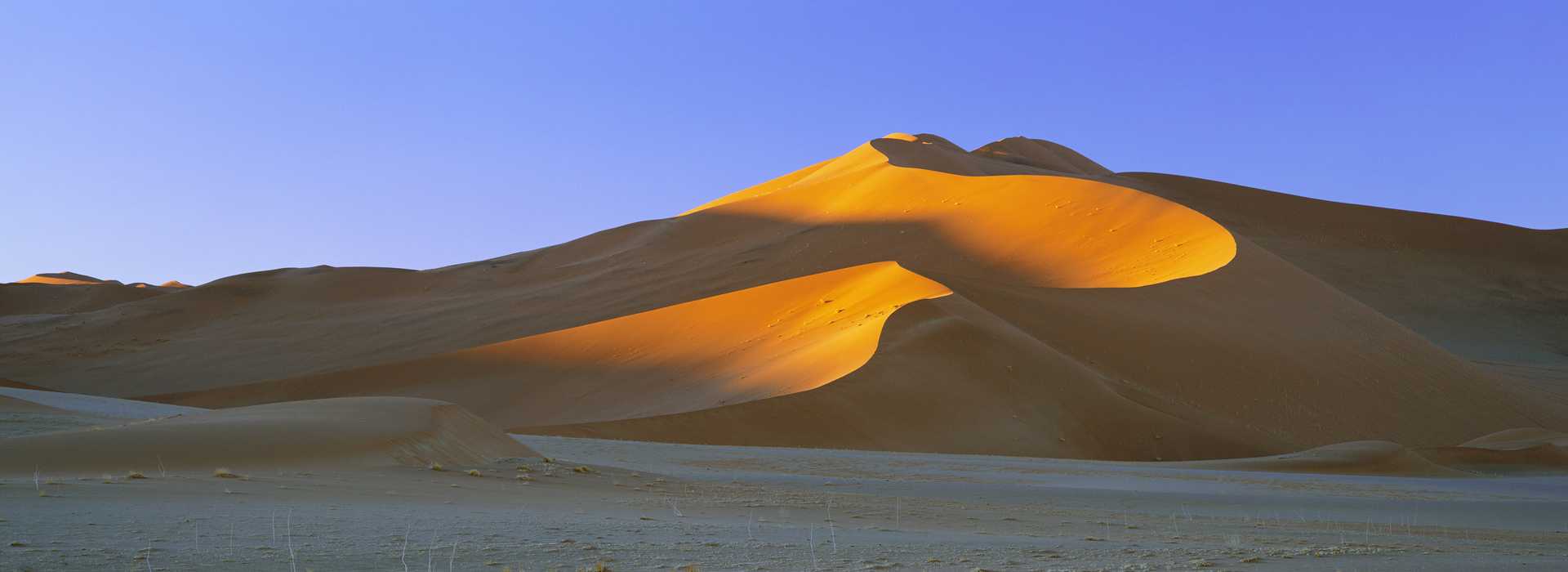 Morning sun catches the sand dunes, Namibia