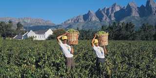 winelands