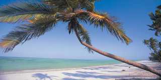 zanzibar beaches