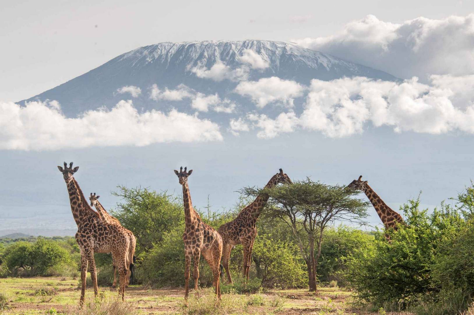 KILIMA-WILDLIFE-PHOTOS-5-scaled.jpg