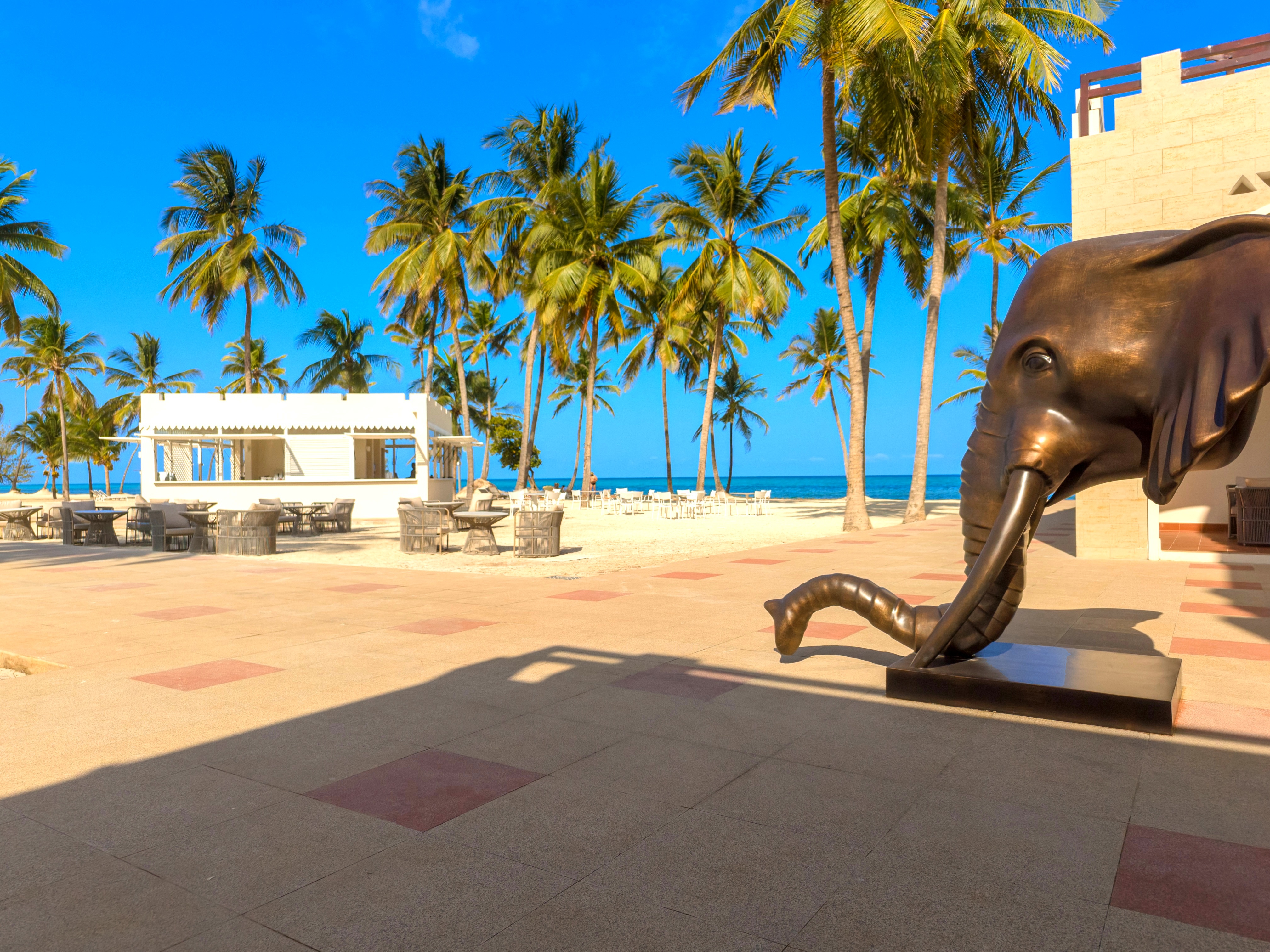 DJI_20260218160101_0284_D_tropical.jpg