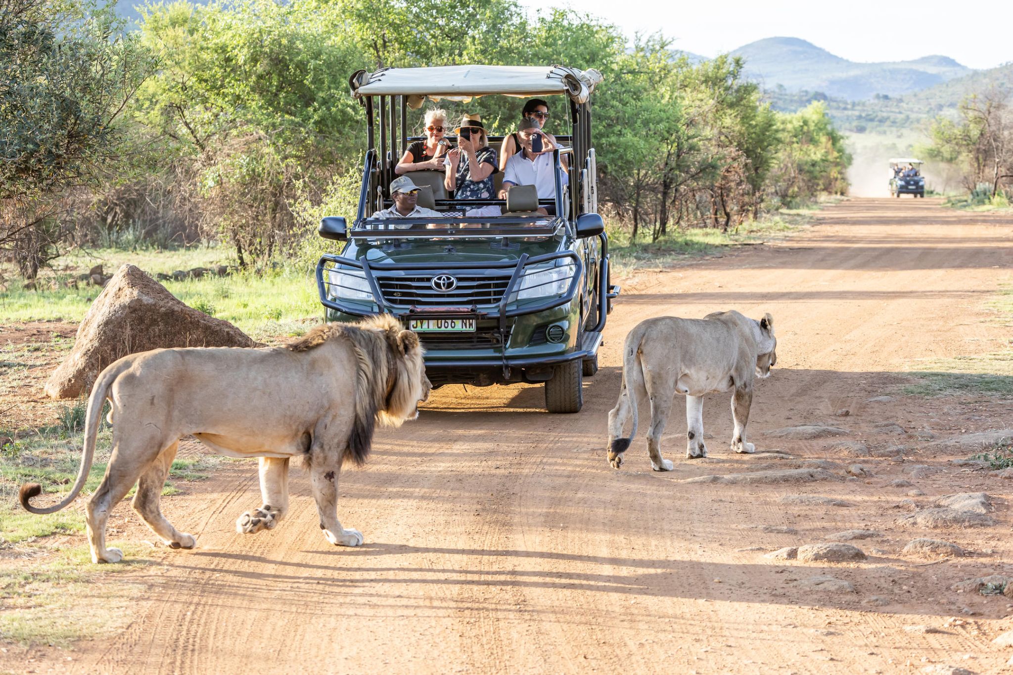 Game_Drives.jpg