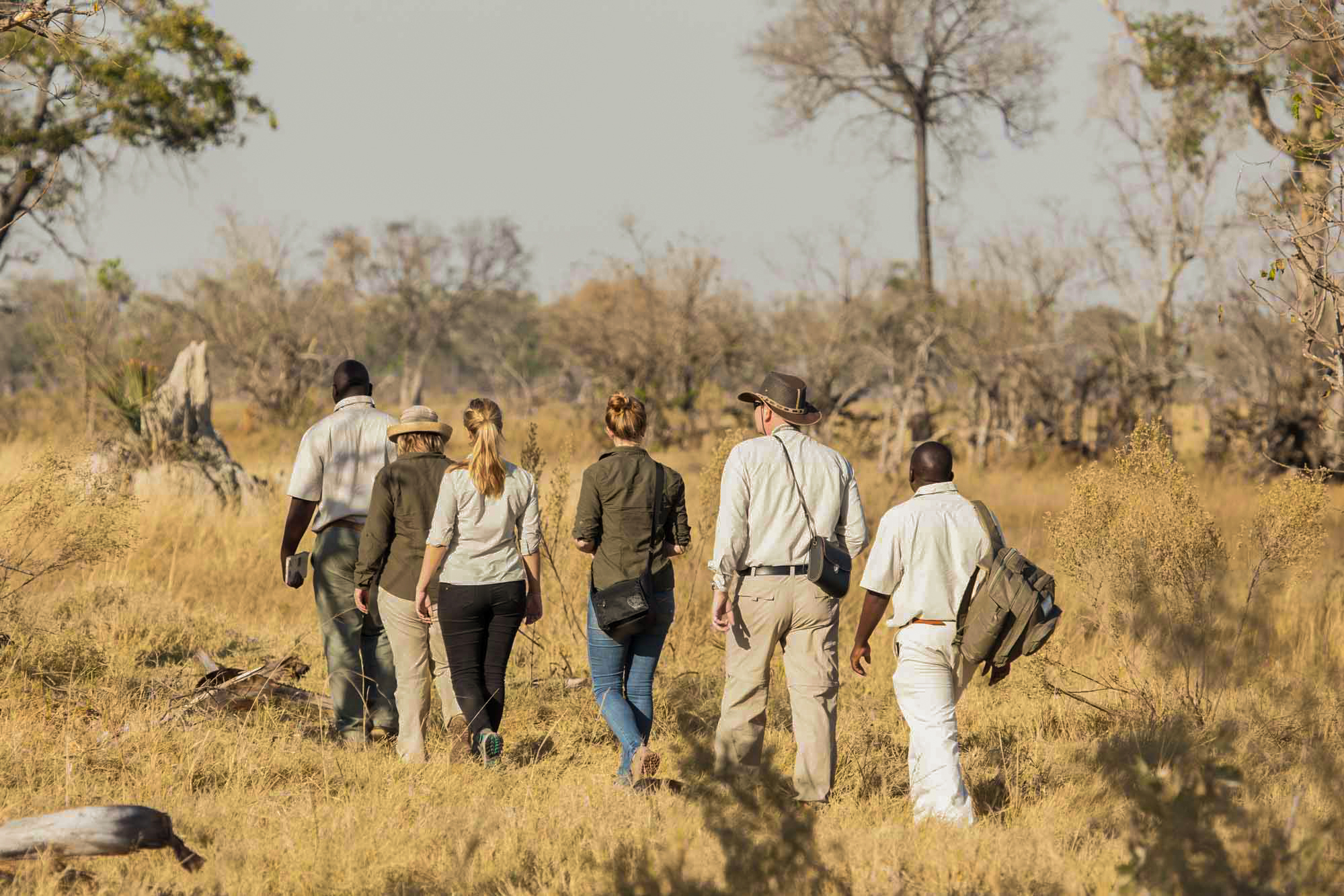Moremi_Crossing_-_Walking_Safari_-_4.jpg