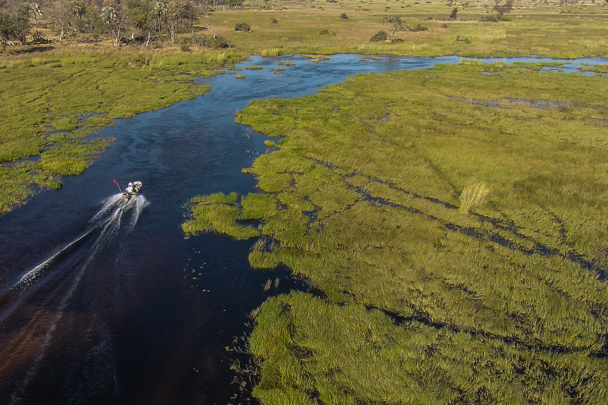 Moremi_Crossing_Camp_-_Boating_-_1.jpg