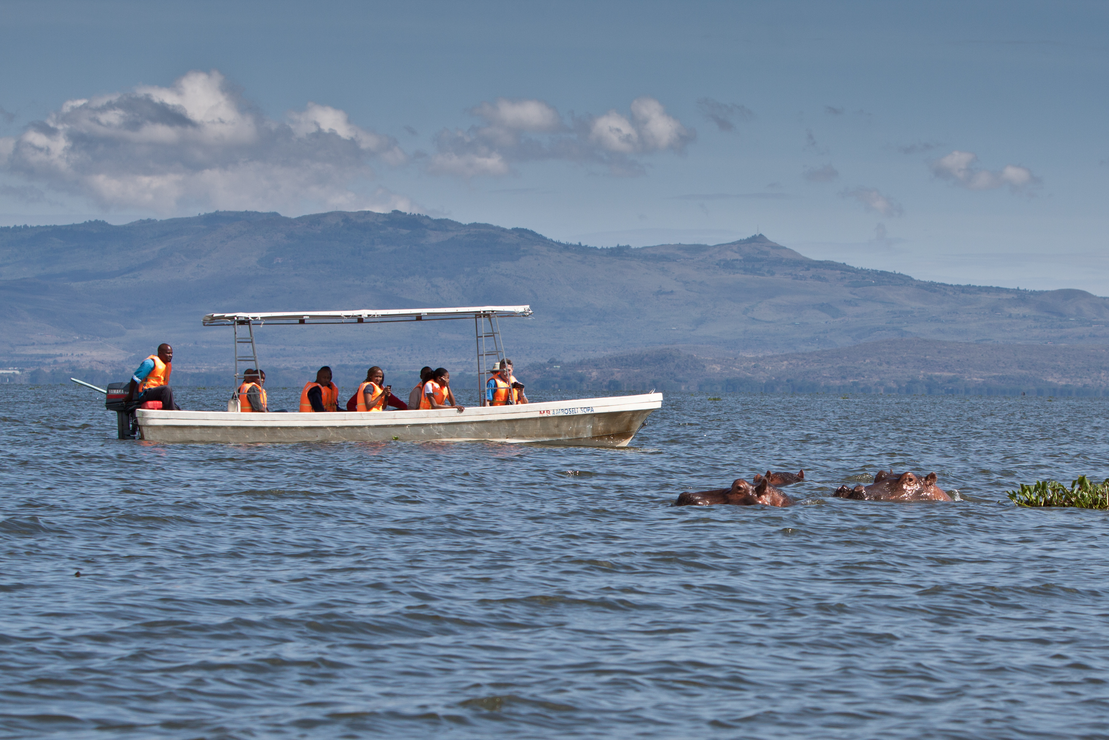 Boat_rides.jpg