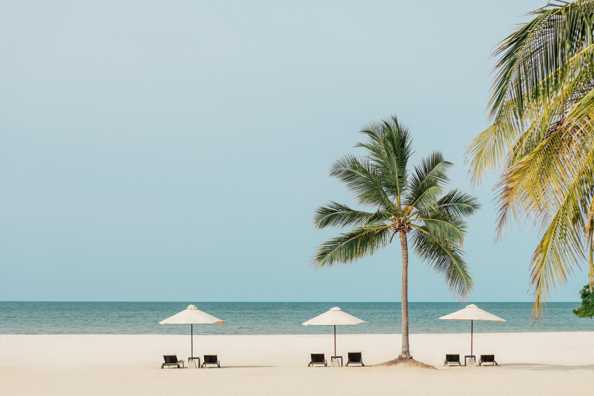 Beach.jpg