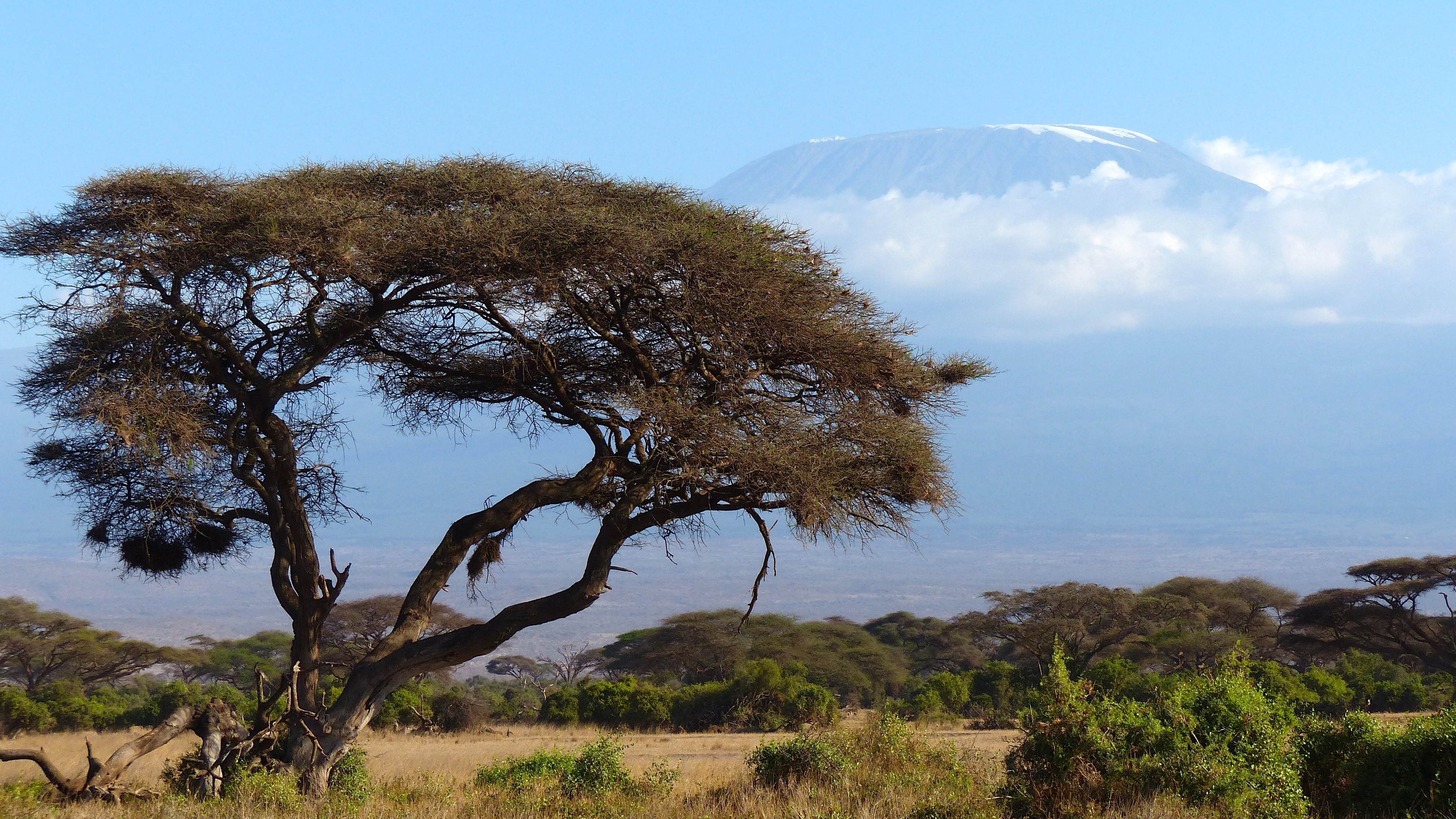 jbpic-kilimanjaro-720845.jpg