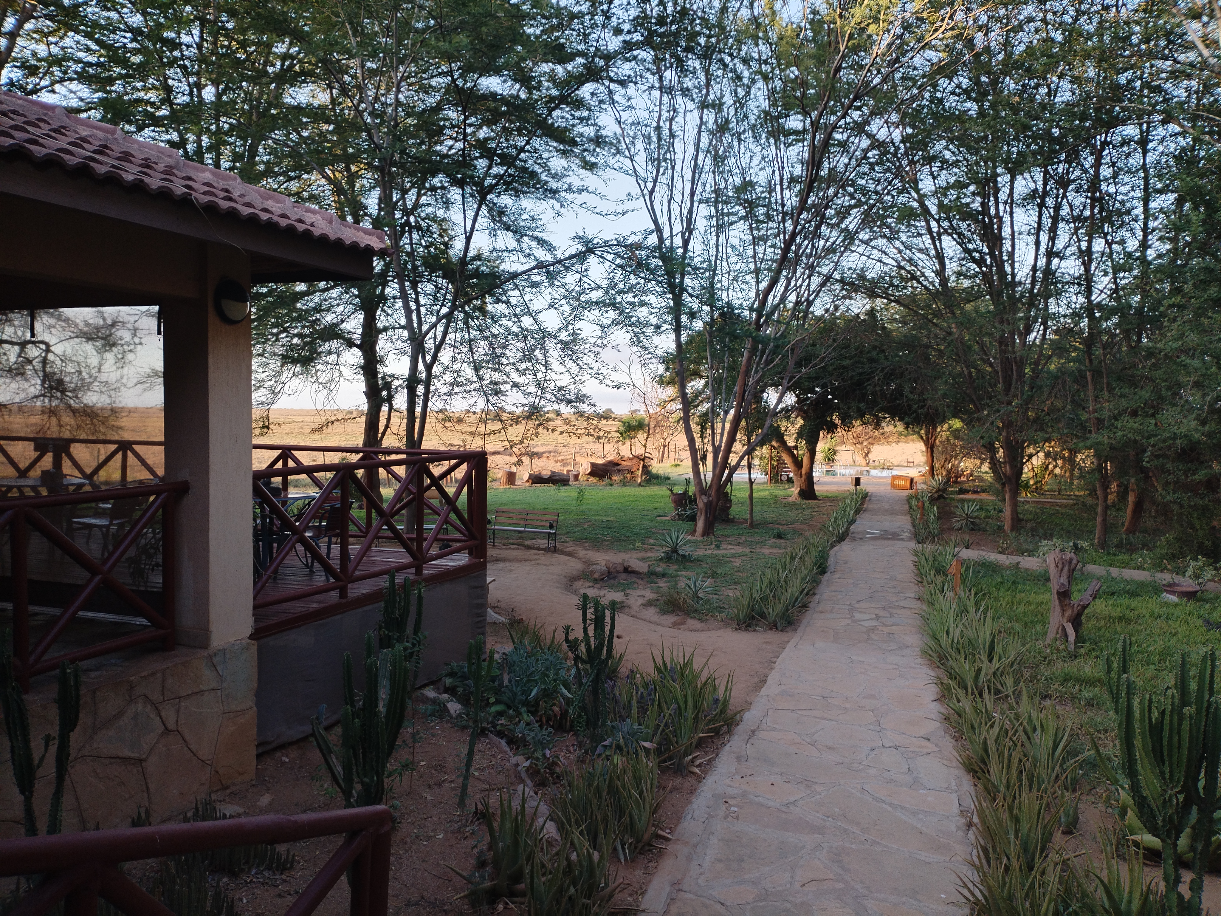 ashnil_aruba_.jpg