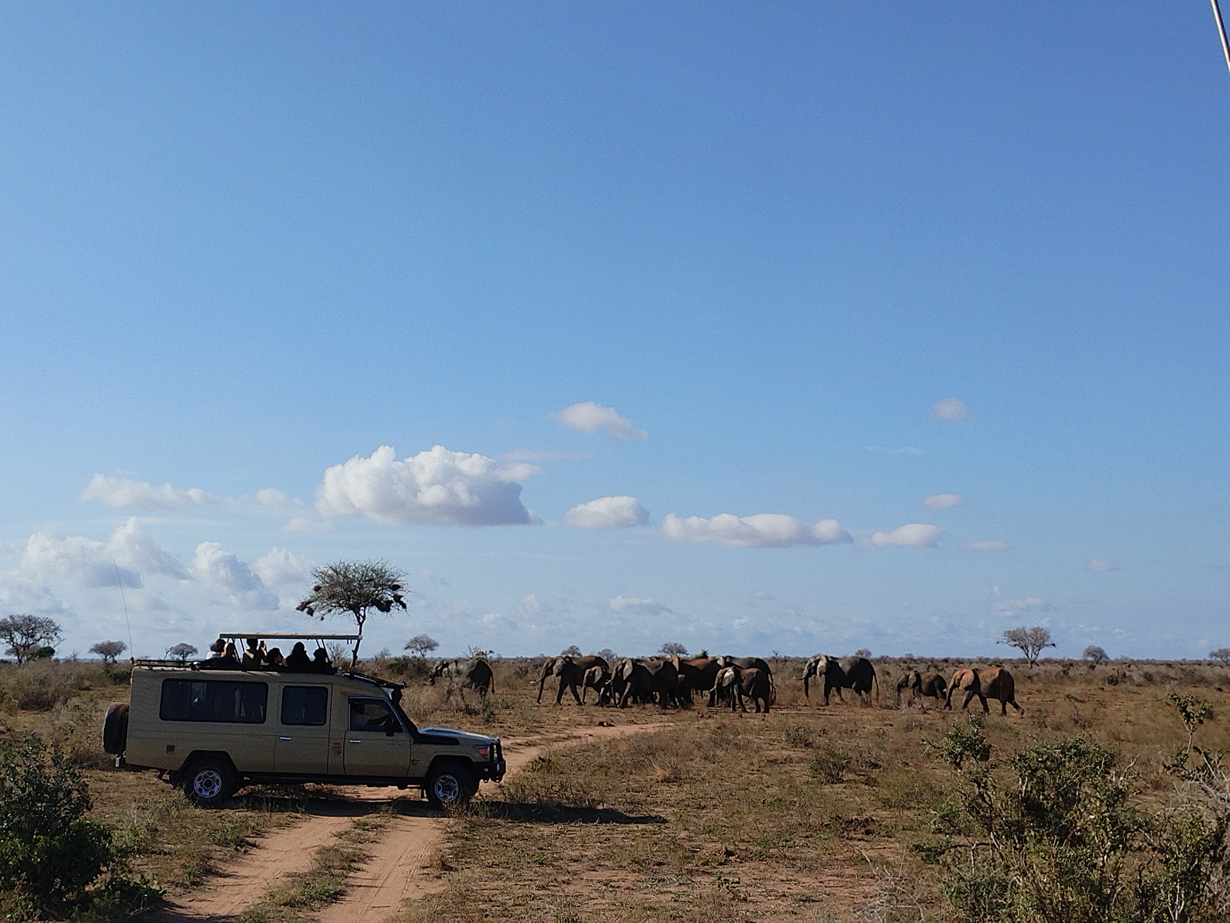 game_at_TSAVO.jpg