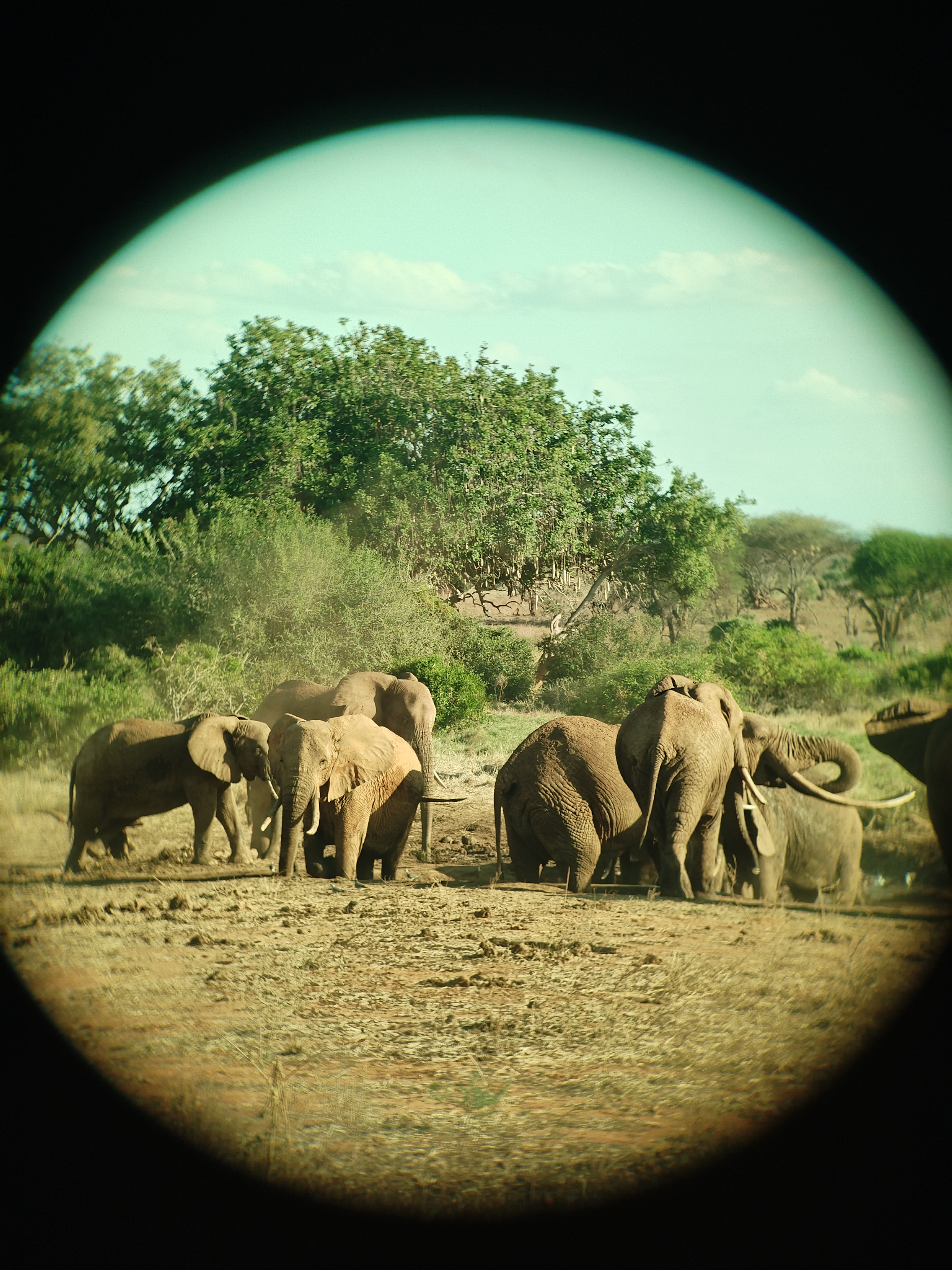 game_at_TSAVO_17.jpg