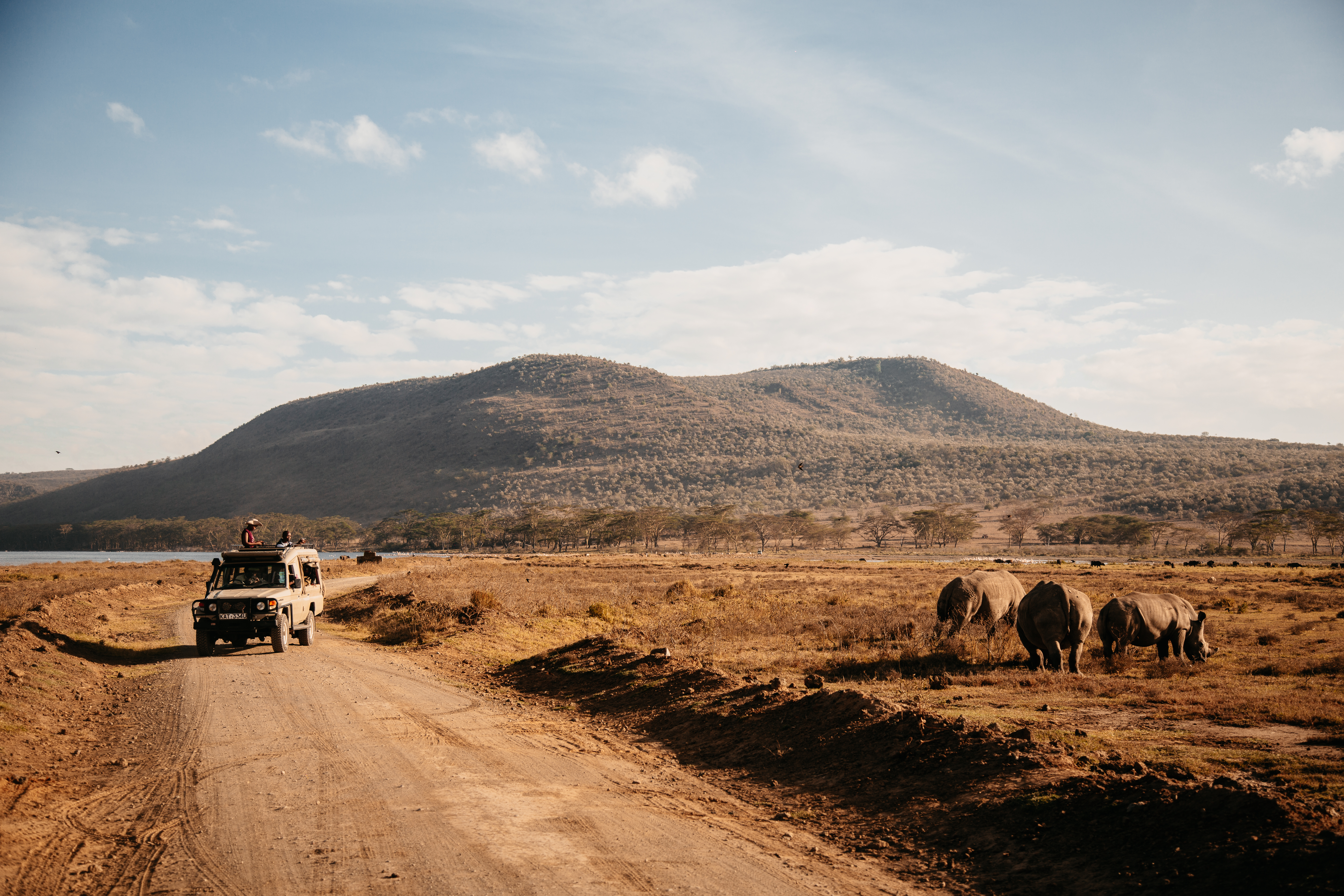 Sarova_Lion_Hill_Game_Lodge_-_Game_Drive_28.jpg