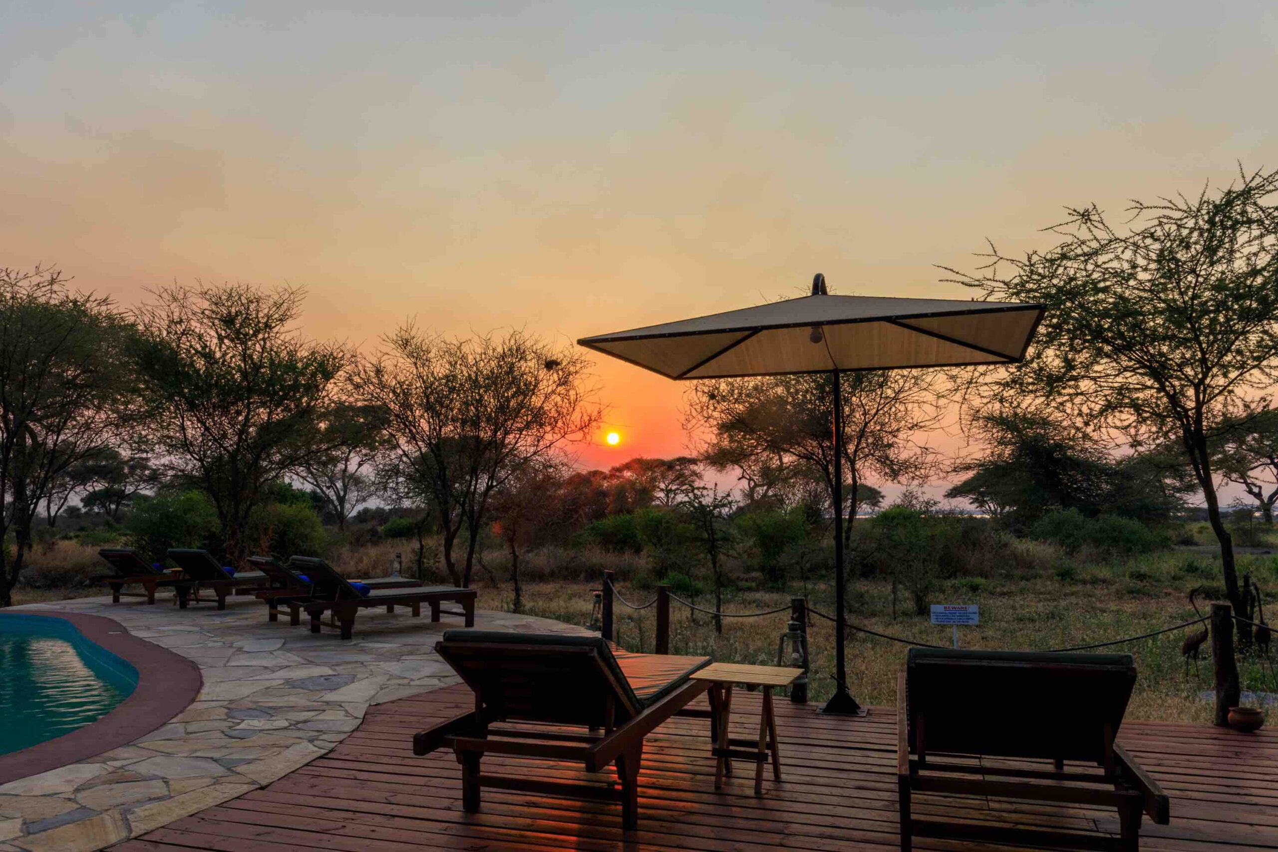 Simba-Lodge17-scaled.jpg