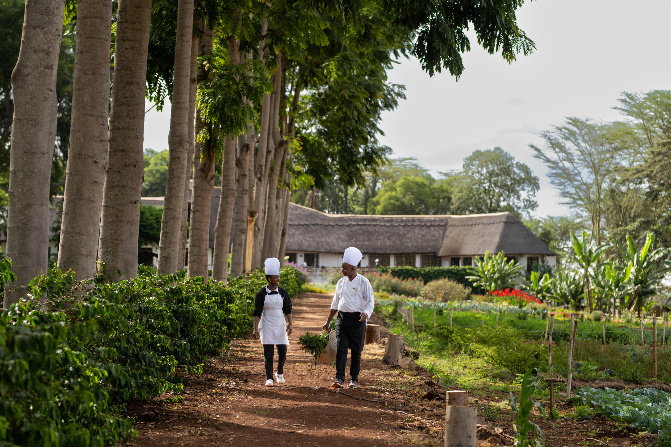 Ngorongoro_Farm_House_Chefs_and_Garden.jpg