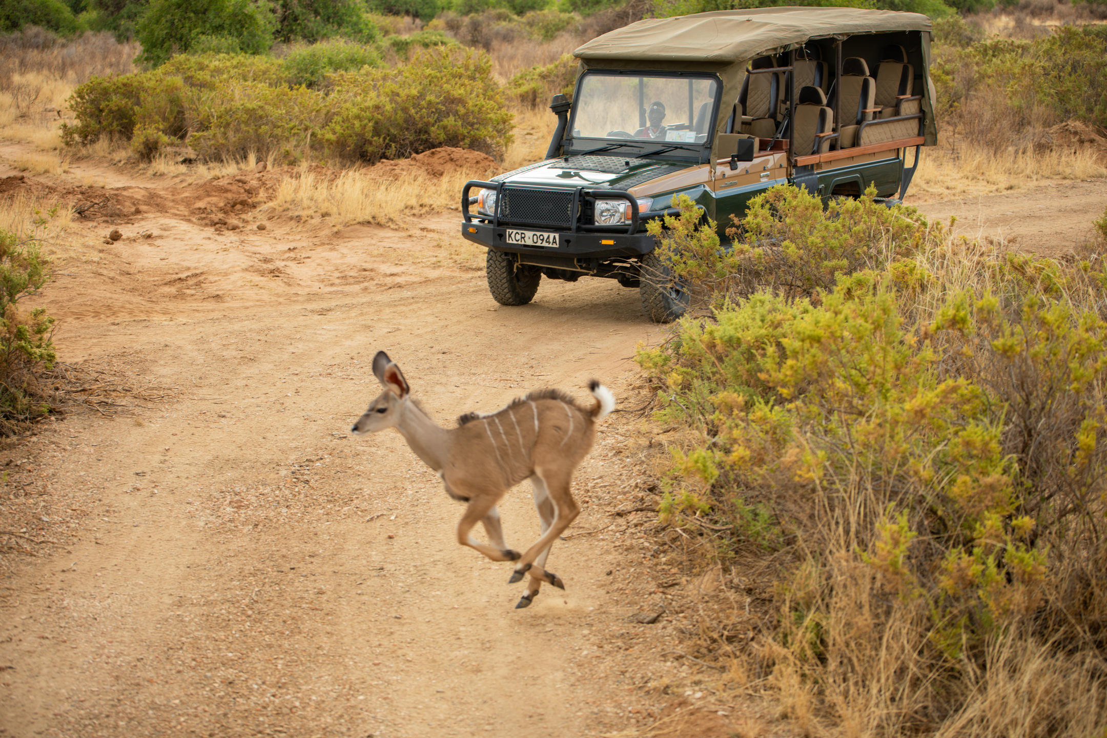 Kenya: Soroi Flying Safari & Beach 